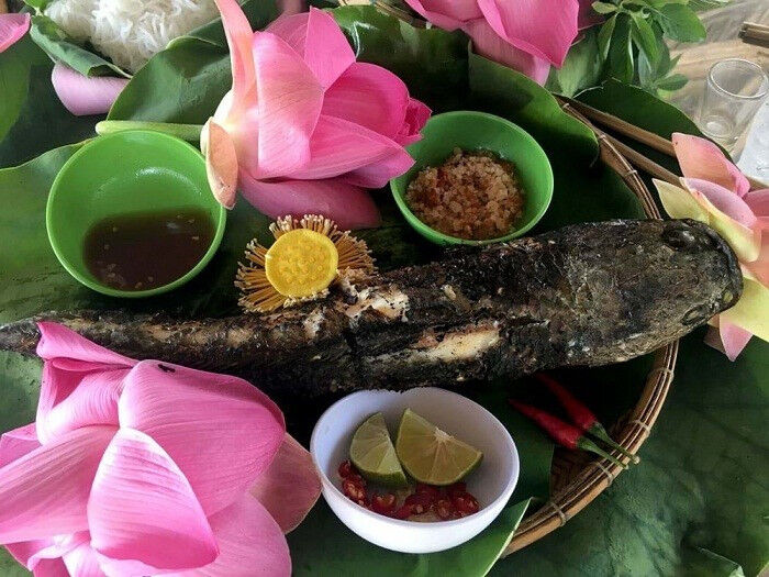 Seize the vibrant spirit of Dong Thap Travel